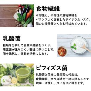 乳酸菌 サプリ デキストリン 食物繊維 難消化...の詳細画像5