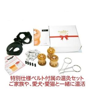 徳潤 新温灸剤 64個入 邵氏温灸器専用の温灸剤 ヨモギ 温活 自然成分