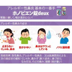 花粉症 薬 鼻水 メール便送料込 ホノビエン錠...の詳細画像1