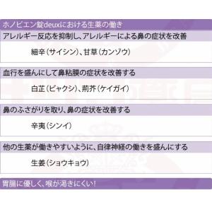 花粉症 薬 鼻水 メール便送料込 ホノビエン錠...の詳細画像2