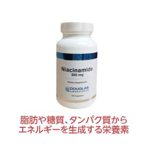 ダイエット サプリ ナイアシンアミド 100粒  ビタミンB