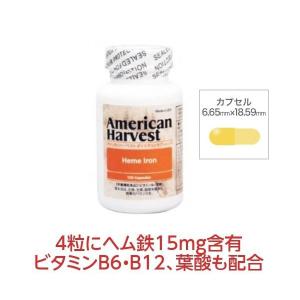 ヘム鉄 鉄分補給 葉酸 サプリ ヘムアイアン 120粒〔HWP990930-120〕〔ダグラス/アメリカンハーベスト〕｜satuma