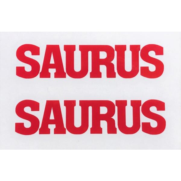 SAURUSウィンドウデカール　SS