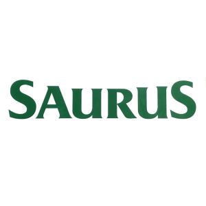 SAURUSウィンドウデカール(湾曲)　L