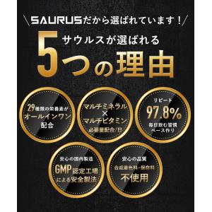 【ポイント10倍】ベースサウルス BASE S...の詳細画像1