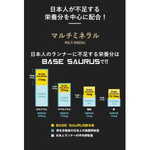 【ポイント10倍】ベースサウルス BASE S...の詳細画像3