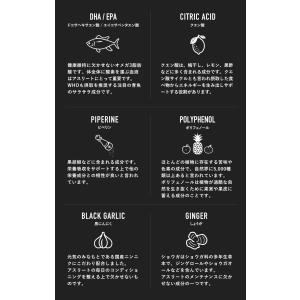 【ポイント10倍】ベースサウルス BASE S...の詳細画像4