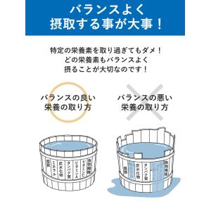 【ポイント10倍】ベースサウルス BASE S...の詳細画像5