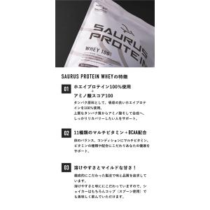 ホエイプロテイン【国産】 bcaa アミノ酸ス...の詳細画像3