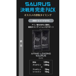 SAURUS決戦用完走PACK ジェル2本 ジ...の詳細画像1