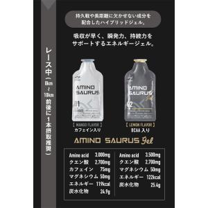 SAURUS決戦用完走PACK ジェル2本 ジ...の詳細画像3