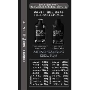 SAURUS決戦用完走PACK ジェル2本 ジ...の詳細画像4