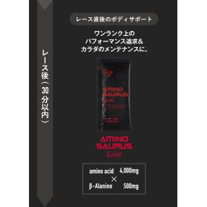 SAURUS決戦用完走PACK ジェル2本 ジ...の詳細画像5