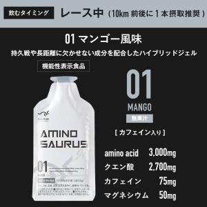 AMINOSAURUS GEL アミノサウルス...の詳細画像1
