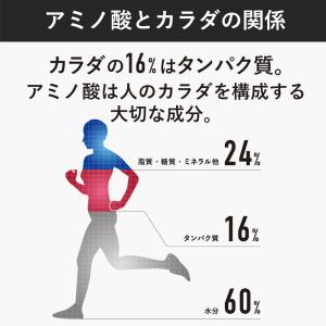 AMINOSAURUS GEL アミノサウルス...の詳細画像4