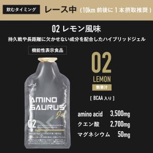 AMINOSAURUS GEL アミノサウルス...の詳細画像2