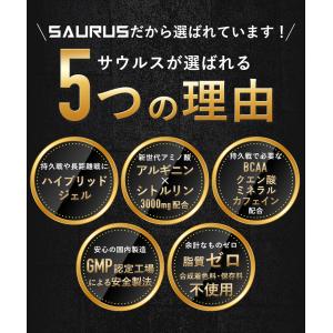 AMINOSAURUS GEL アミノサウルス...の詳細画像3