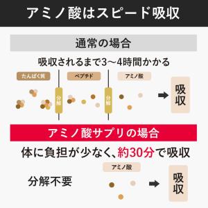 AMINOSAURUS GEL アミノサウルス...の詳細画像5