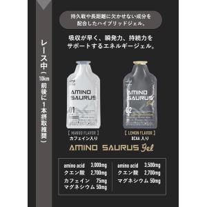 SAURUS完走PACK アミノサウルス ジェ...の詳細画像2