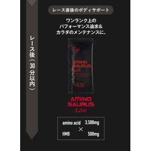 SAURUS完走PACK アミノサウルス ジェ...の詳細画像3