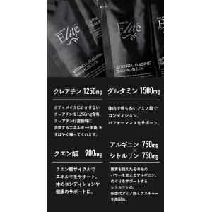 SAURUS完走PACK アミノサウルス ジェ...の詳細画像5