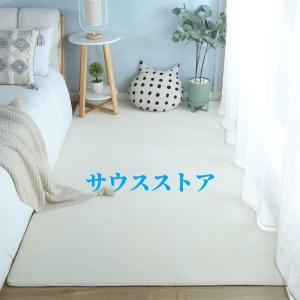 洗えるラグマット オールシーズン対応 サイズ:60×100cm/120×200cm ポリエステル製 洗濯機可能 静音設計