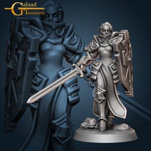 Knight Shield｜savagelandmini