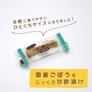 水溜食品 ひとくちごぼう酢てぃっくす (スティ...の詳細画像1