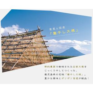 水溜食品 ぽり×2(ぽりぽり) バラエティー1...の詳細画像2