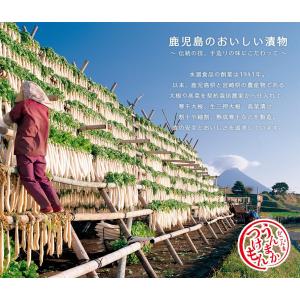 水溜食品 ぽり×2(ぽりぽり) バラエティー1...の詳細画像4