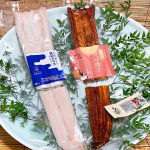 岡富商店 天女の羽衣〜あなご一夜干＆蒲焼 冷凍便 送料無料(北海道・沖縄・離島を除く) 穴子 アナゴ 干物 熨斗対応可 中元 歳暮