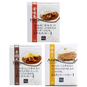 [計6食セット]博多華味鳥 カレー3種（華味鳥カレー・手羽元カレー・粗引きキーマカレー）各2袋 送料無料｜save-fun