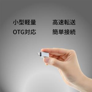 標準USB Type-C 変換アダプタ 2個セ...の詳細画像2