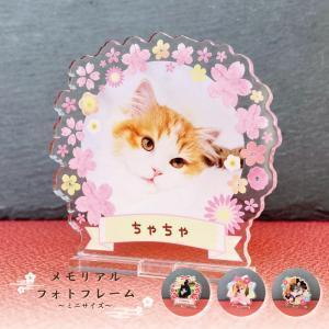 犬 猫 愛犬 愛猫 ペット 写真 かわいい オーダーメイド