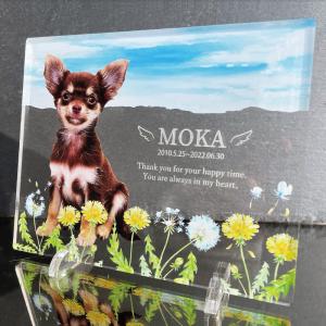 犬 猫 愛犬 愛猫 ペット 写真 かわいい オーダーメイド