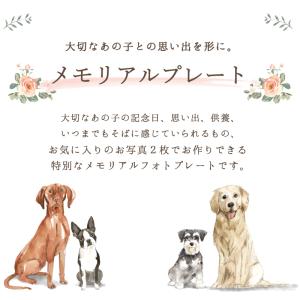 写真3枚入り ペットメモリアルプレート ピンク...の詳細画像1
