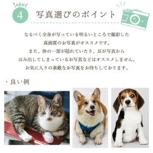 写真3枚入り ペットメモリアルプレート ピンク...の詳細画像5
