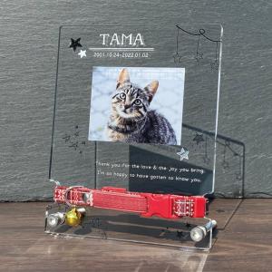 【メモリアルフォトプレート / 首輪飾り・スター】 犬 猫 愛犬 愛猫 ペット 写真 かわいい オーダーメイド 遺影 仏具 位牌 ペット供養 思い出