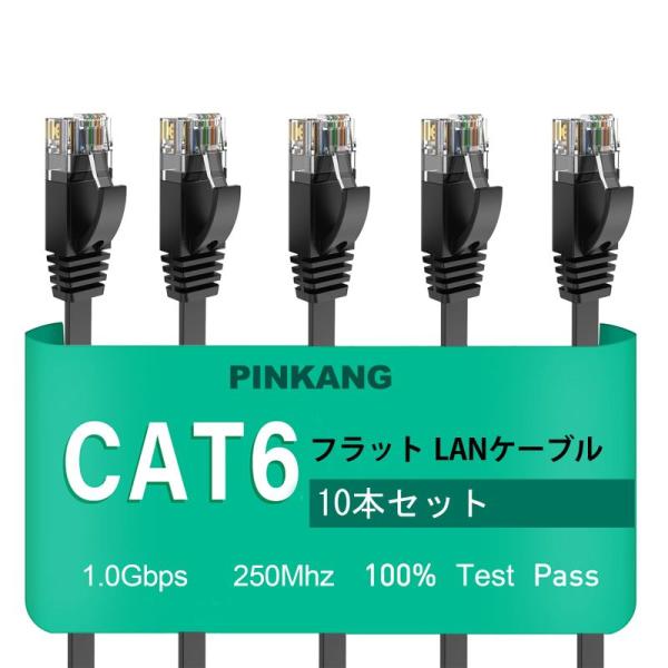 LANケーブル 0.3m 10本 有線ケーブル ランケーブル フラットタイプ CAT6準拠 有線la...