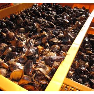 黒にんにく 青森県産 バラ 1キロ 無選別 送...の詳細画像3