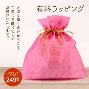 内祝い ラッピング 袋 ギフト用 澤井珈琲 有料ラッピング（包装 ギフト プレゼント） 不織布 バッグ 袋 巾着 巾着袋 包装袋 贈答 【RD】 【TS】