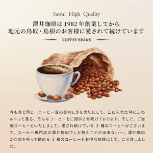 コーヒー 珈琲 福袋 コーヒー豆 珈琲豆 澤井...の詳細画像4