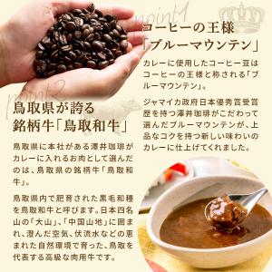 澤井珈琲 カレー レトルト 中辛 ブルーマウン...の詳細画像4