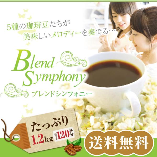 珈琲 福袋 コーヒー 豆 珈琲豆 コーヒー専門店の120杯分入り ブレンドシンフォニー コーヒー福袋...