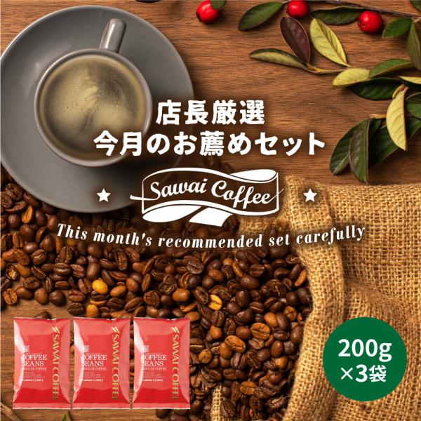 コーヒー 飲み比べ 12月のおすすめレギュラー福袋 3種 600g 澤井珈琲 【RD】 【TS】
