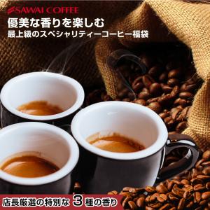 珈琲 福袋 コーヒー 豆 珈琲豆 コーヒー専門店でしか買えない スペシャリティー コーヒー セット スペシャリティ グルメ 【RD】 【TS】