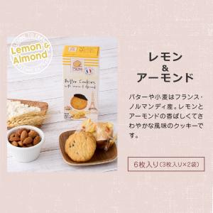 澤井珈琲 ピエール ビスキュイットリー スイー...の詳細画像5