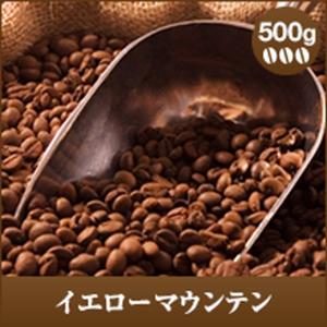 コーヒー 珈琲 コーヒー豆 珈琲豆 柔らかな香りがギュッ !ブラジル産のイエローマウンテン500g入り グルメ 【RD】 【TS】