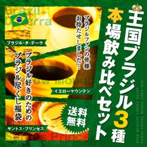 コーヒー 珈琲 福袋 コーヒー豆 珈琲豆  送料無料 王国ブラジル３種 本場飲み比べセット 珈琲120杯分福袋 グルメ