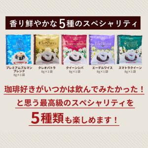 コーヒーギフト ドリップバッグ コーヒーレター...の詳細画像4